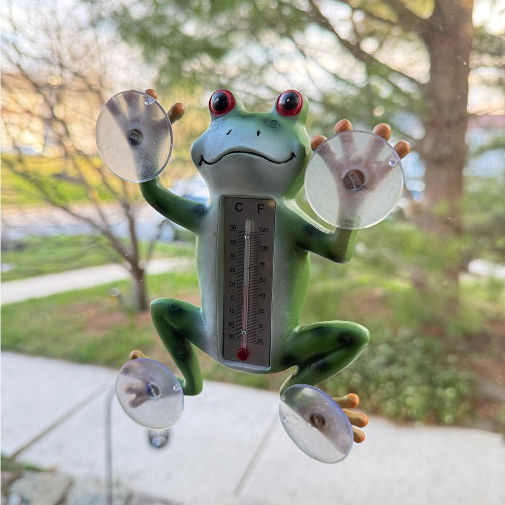 Green Frog Suction-Cup Window Thermometer